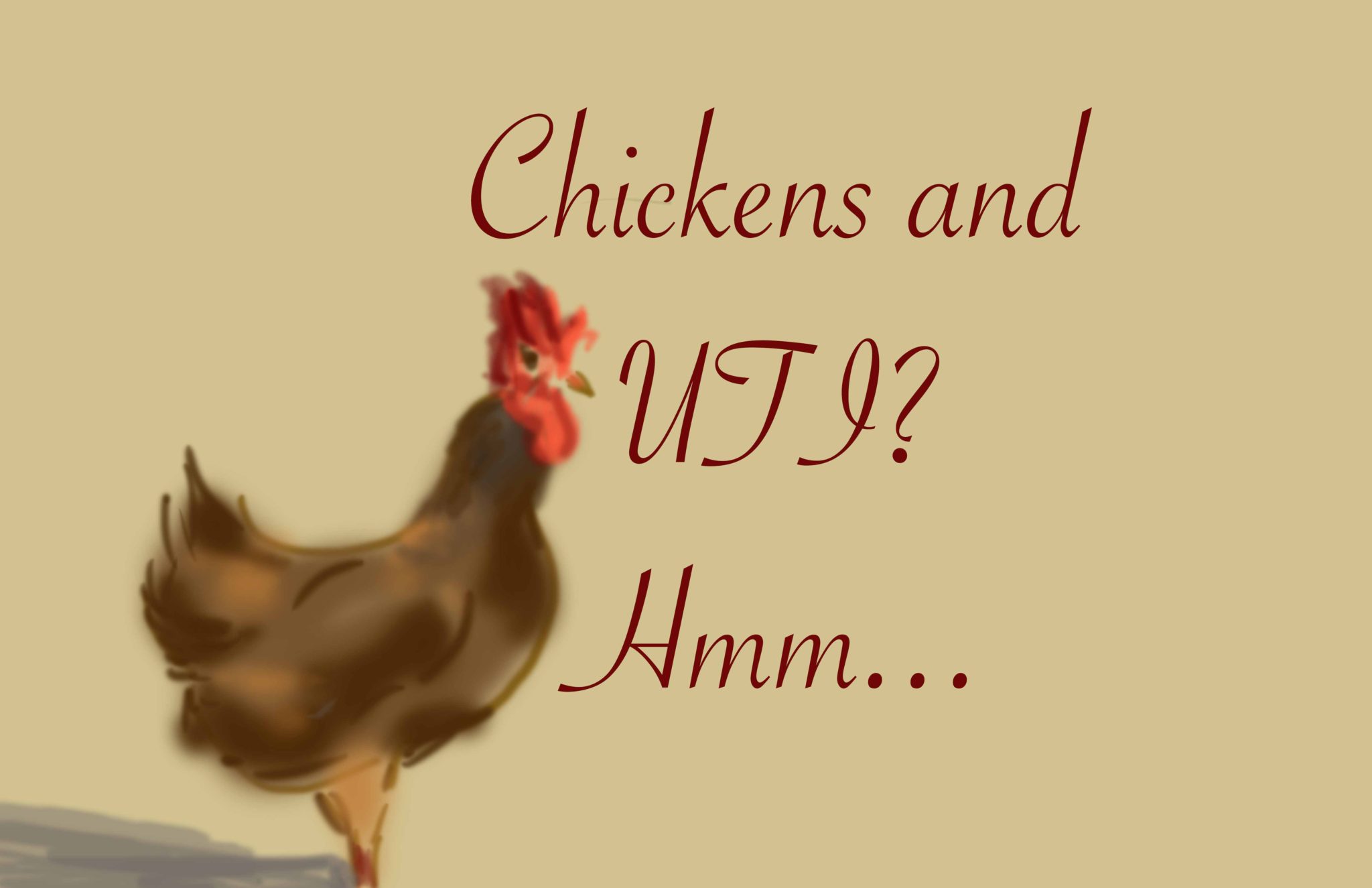 Chicken meat causes UTI? Is it true? Stop UTI Forever